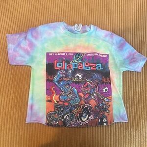 Vintage lollapalooza 2015 crop top t shirt small